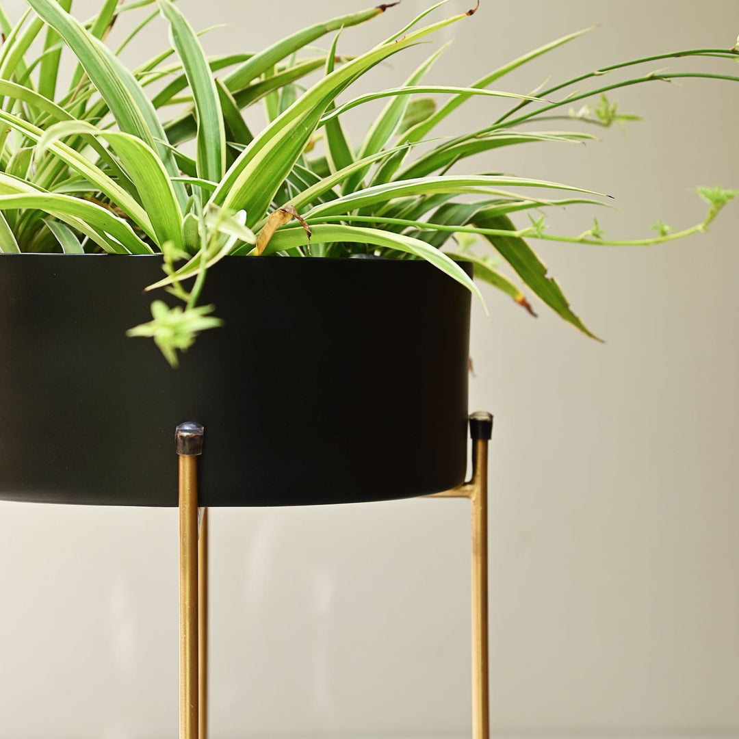 black metal planters with gold stand