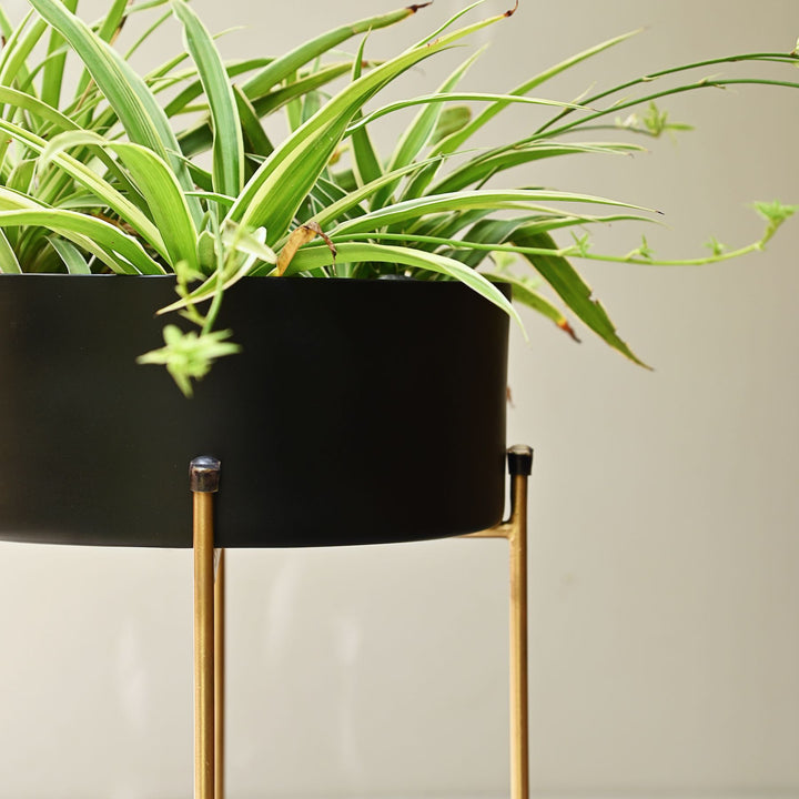 black metal planters with gold stand