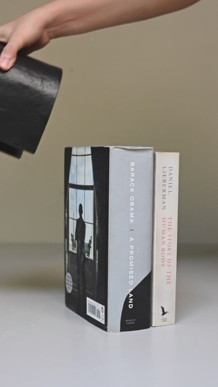 Whale Metal Bookends