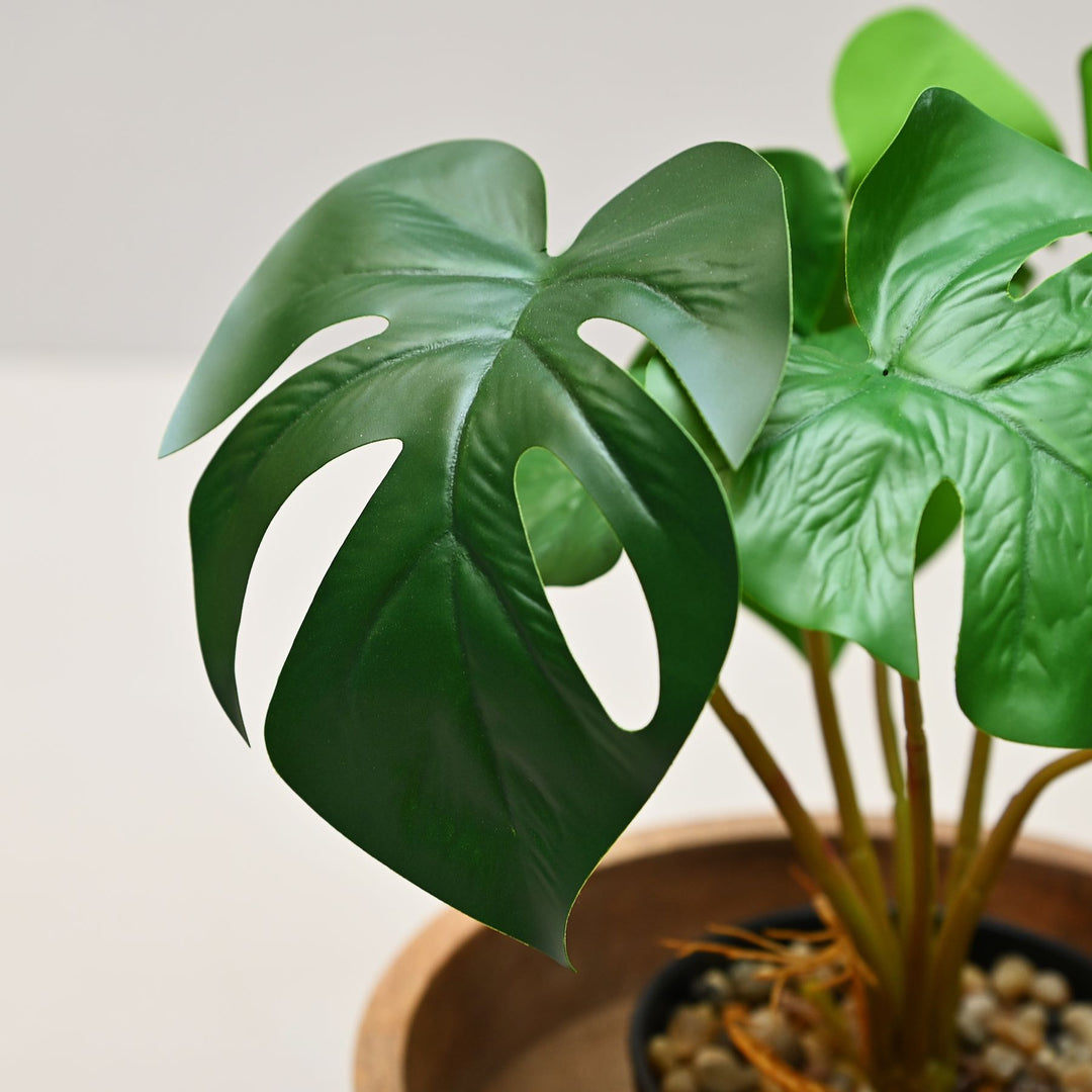 monstera artificial plant