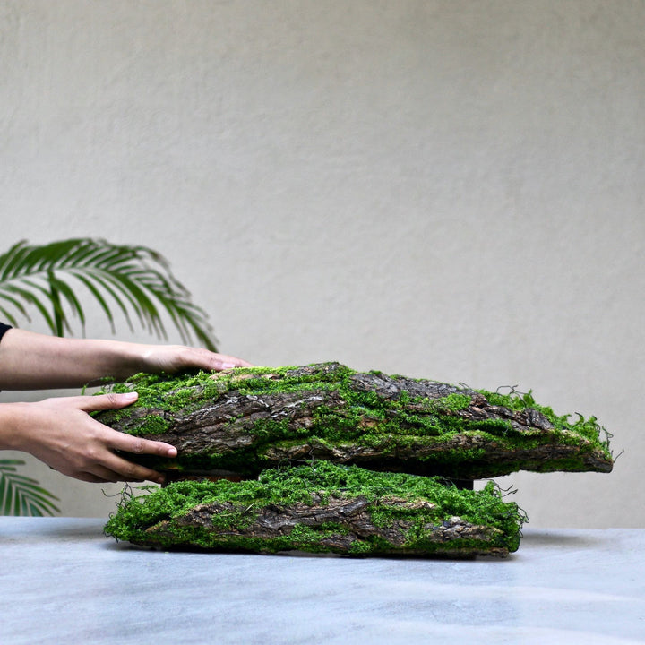 artificial moss branch | merca_variant_38177335181488