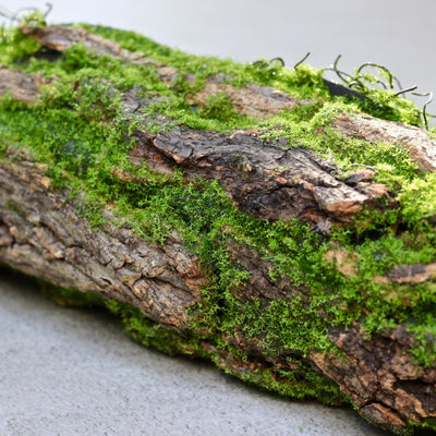artificial moss branch