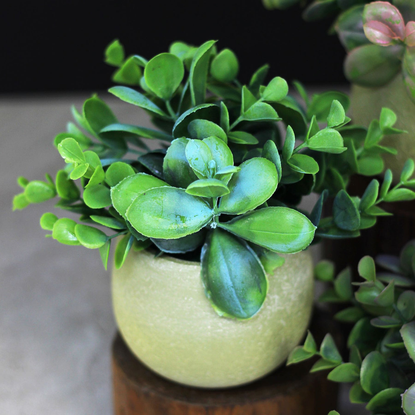 Artificial Succulent Plant 