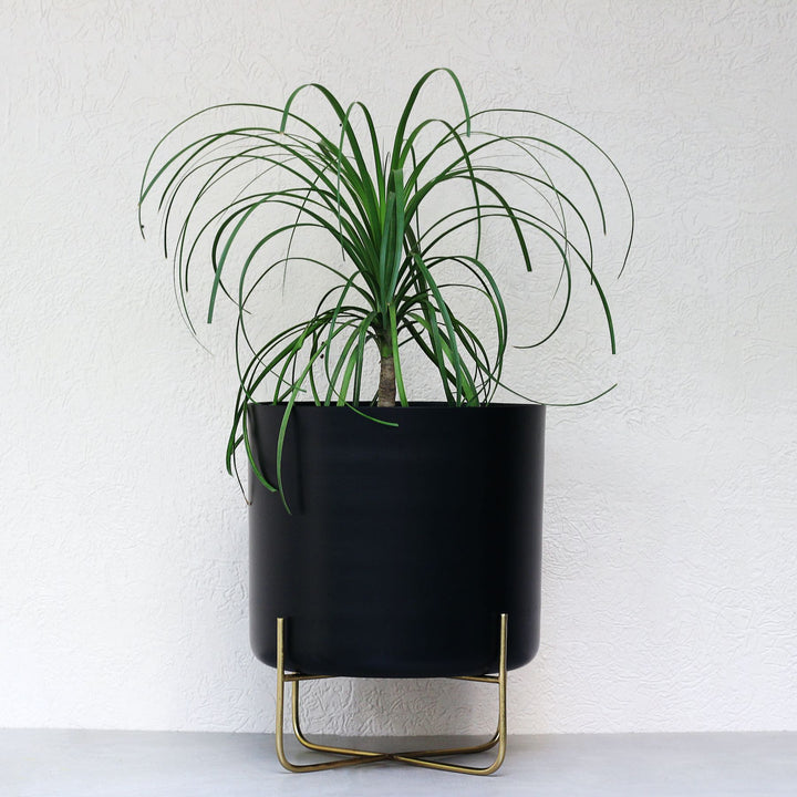 black tub metal planter with stand