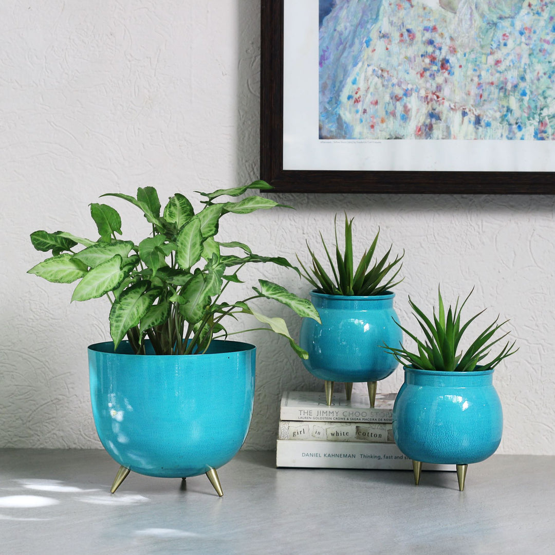 blue metal planter