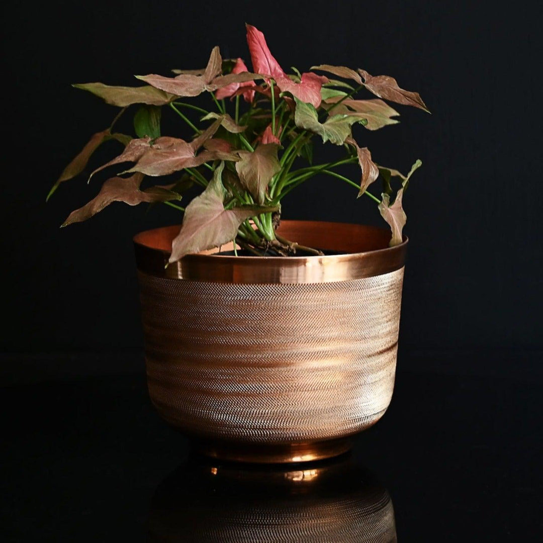 round metal planter with copper finish
