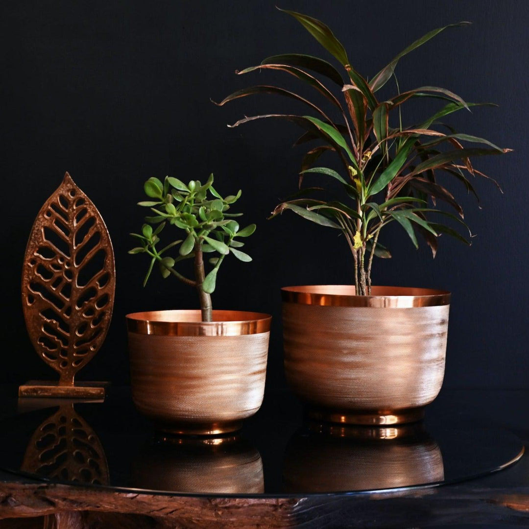 round metal planter with copper finish