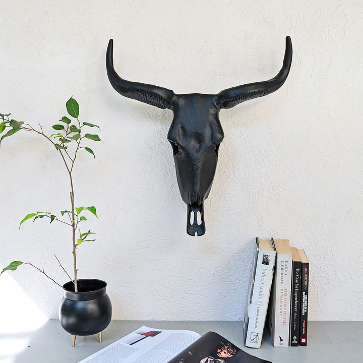 black horned steer wall decor