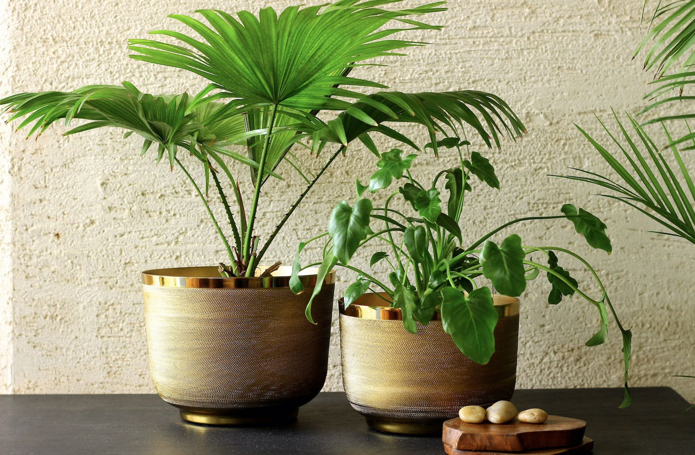 brass planters for indoor home decor