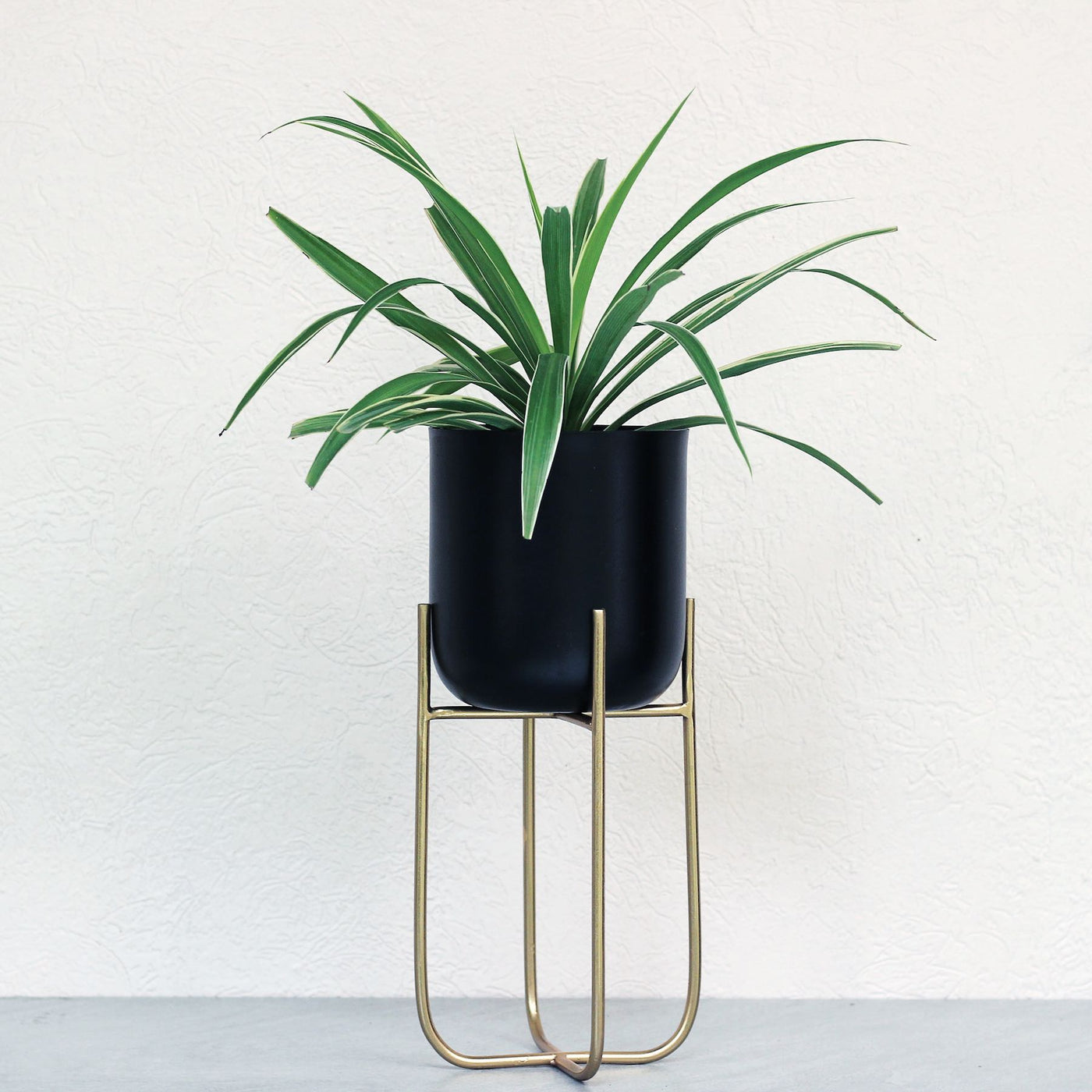 black metal planters with gold stand