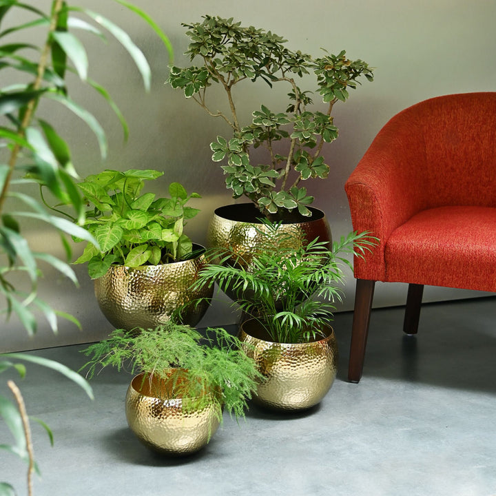 Brass Floor Planter