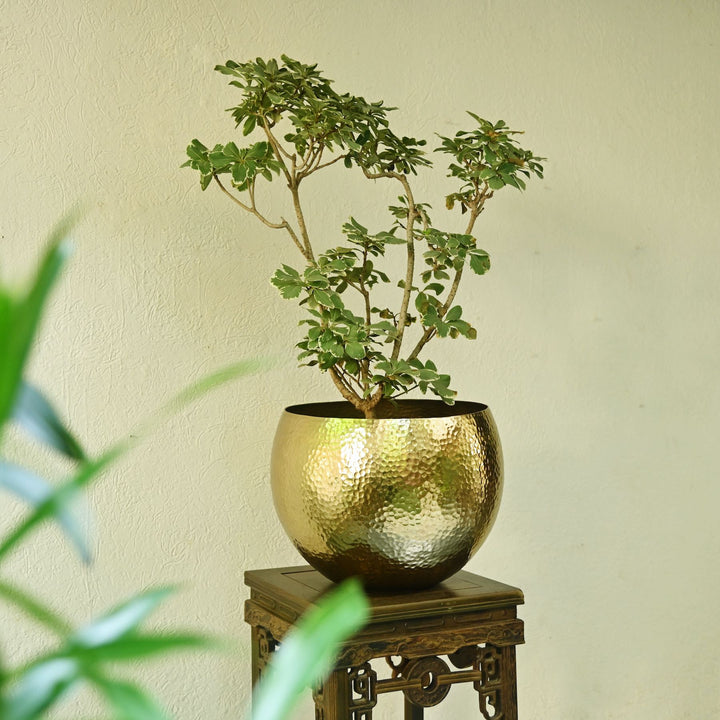 Brass Floor Planter