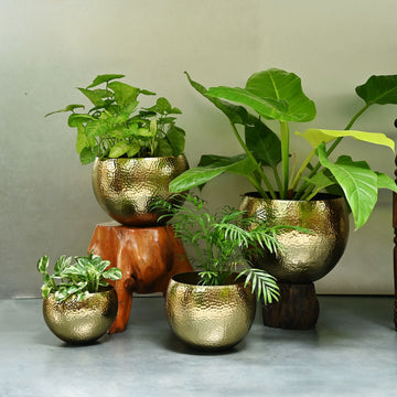 Indoor Planters