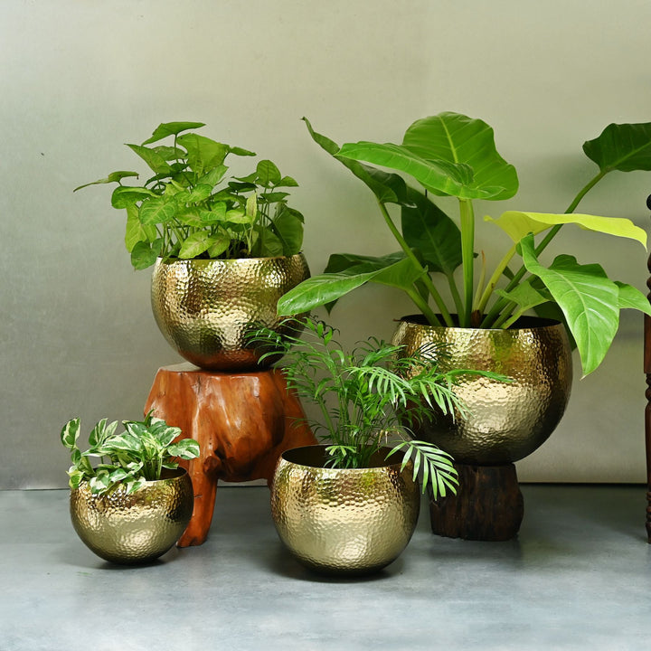Brass Floor Planter