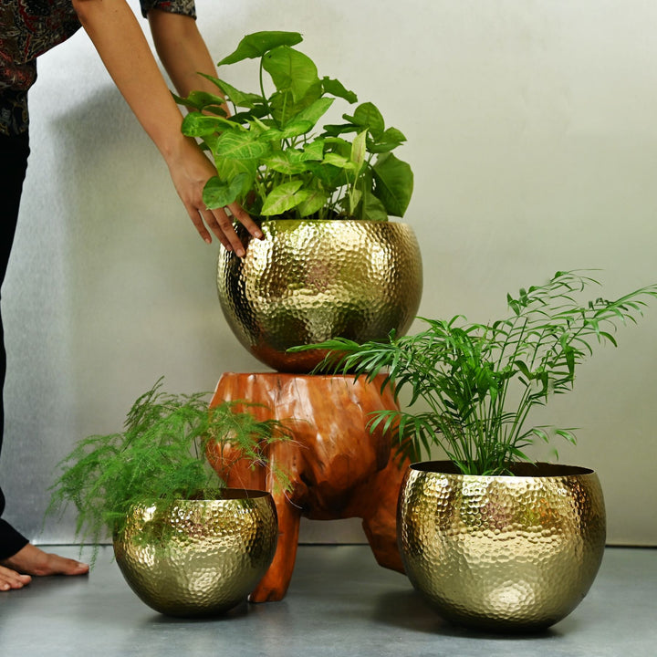 Brass Floor Planter