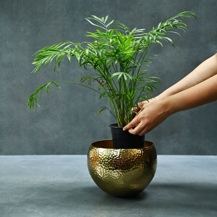 Brass Floor Planter