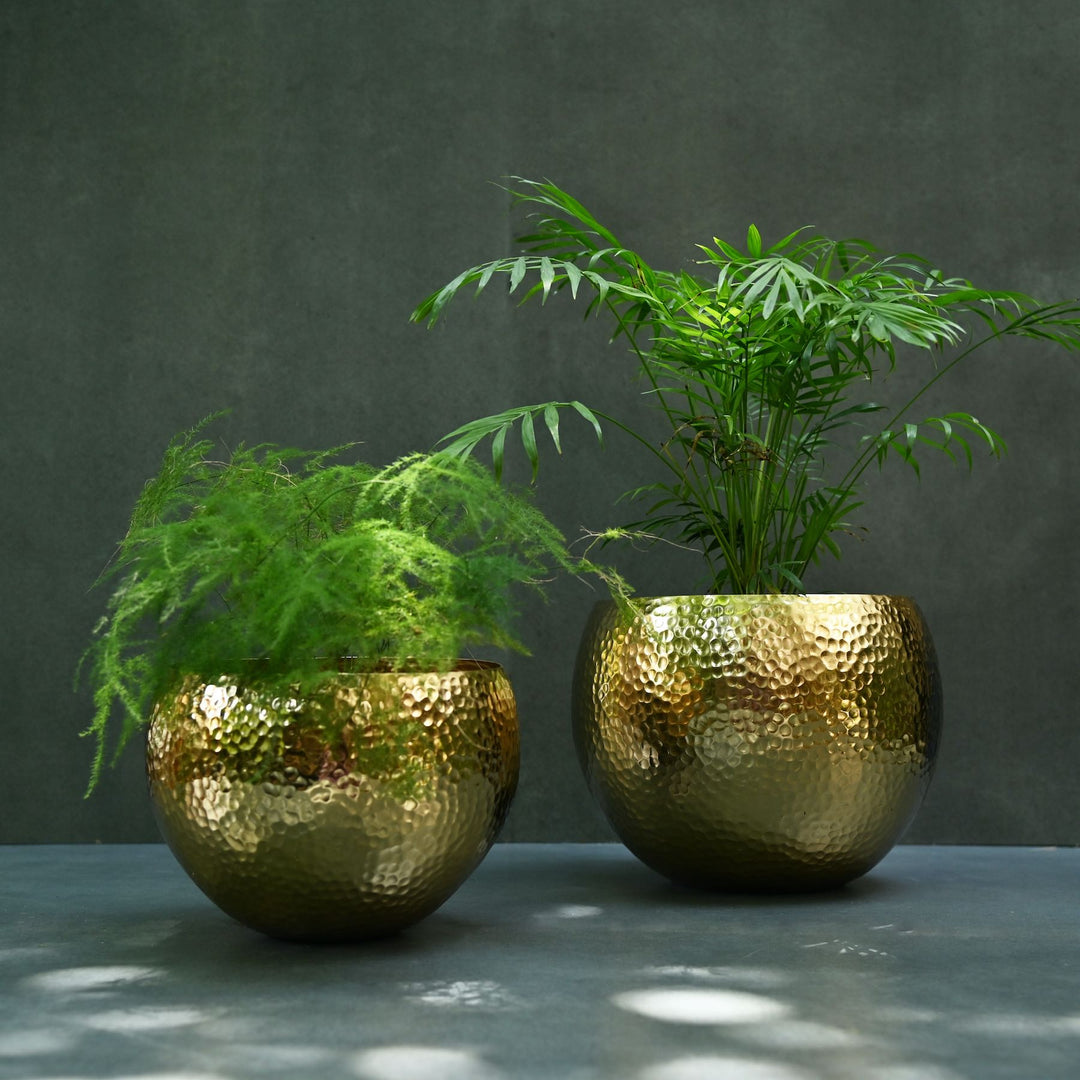 Brass Floor Planter