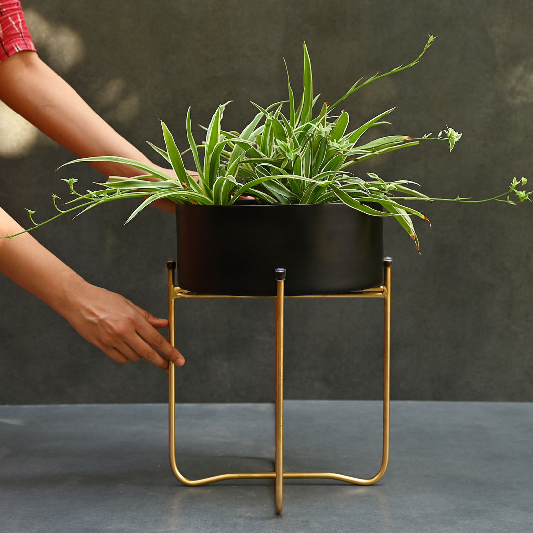 black metal planters with gold stand