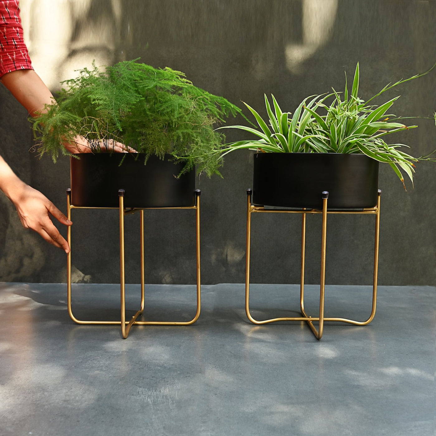 black metal planters with gold stand