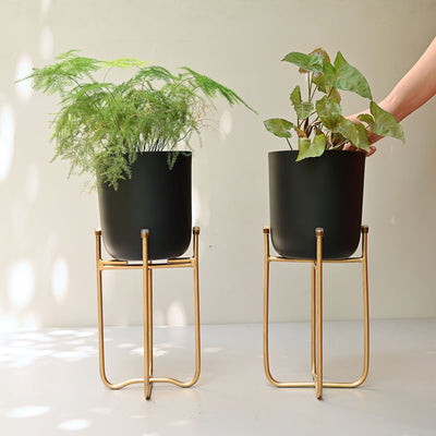 black metal planters with gold stand