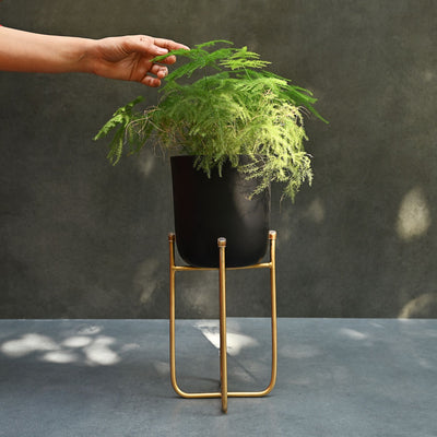 black metal planters with gold stand