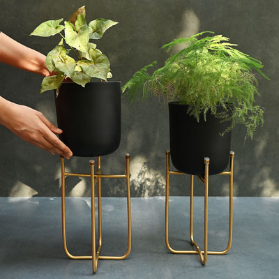 black metal planters with gold stand
