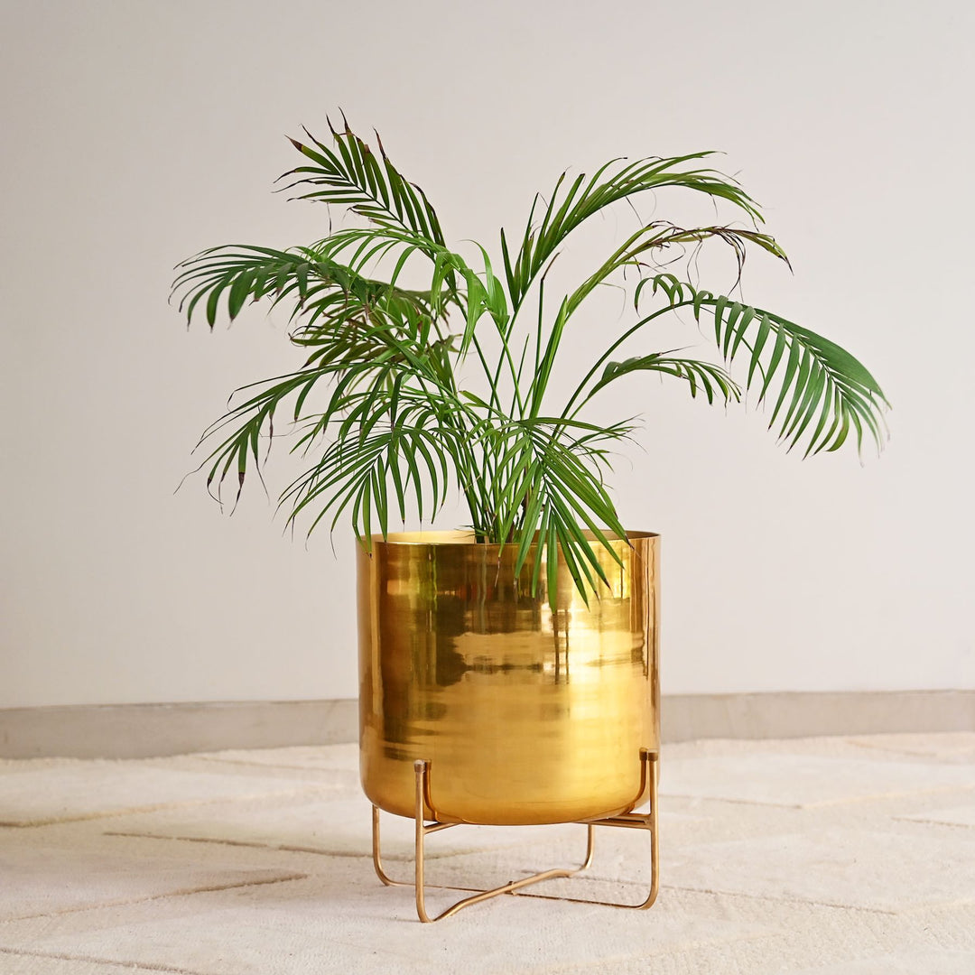 Brass Planter On Stand