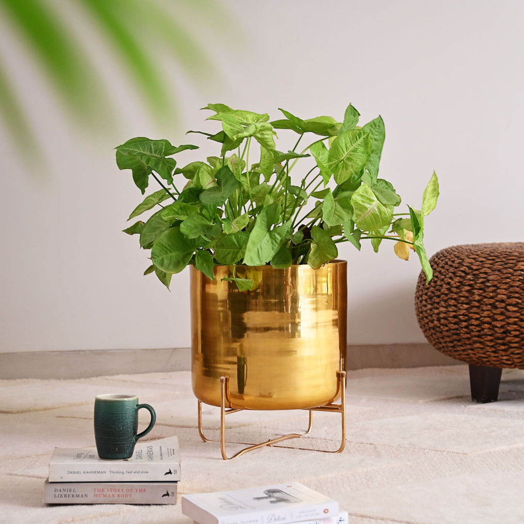 Brass Planter On Stand