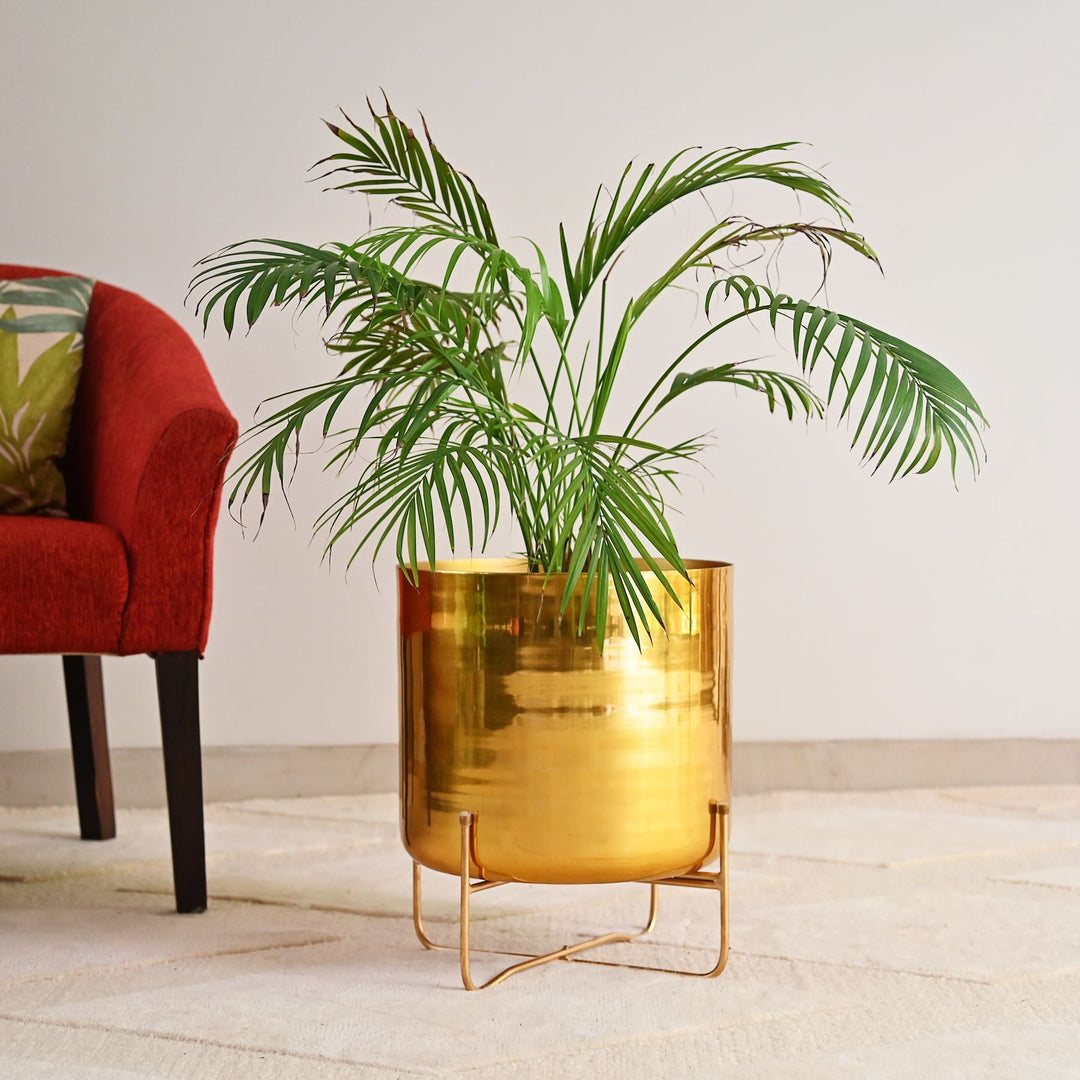 Brass Planter On Stand