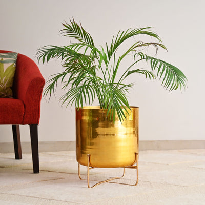 Brass Planter On Stand