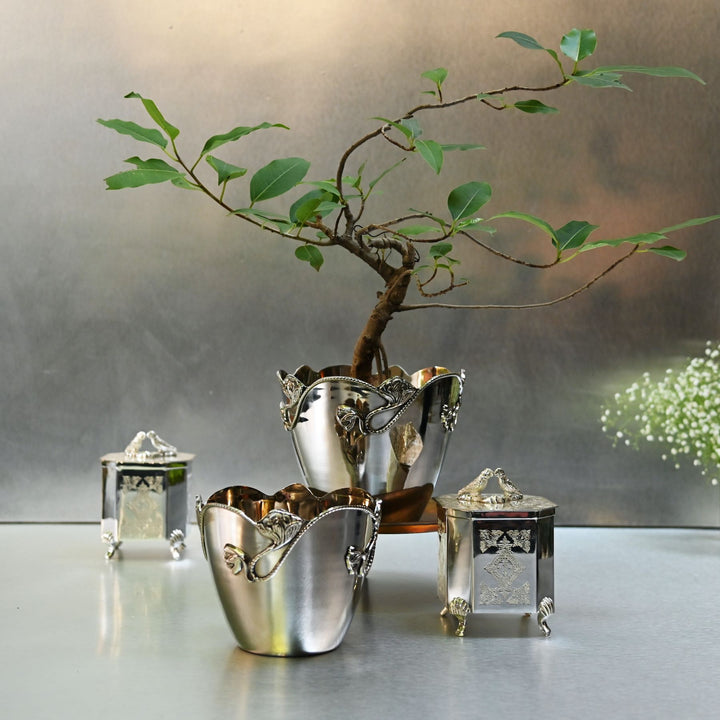 Decorative silver containers with a small potted plant on a reflective surface