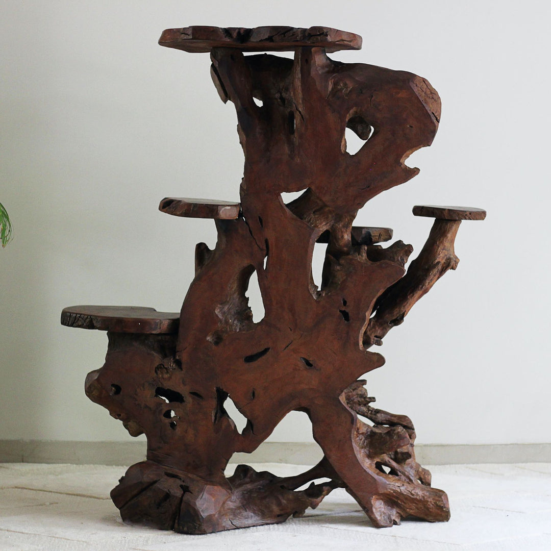 Layered teak root display stand for décor or plants.