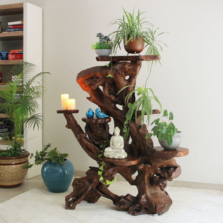 Wooden tiered plant stand with plants and decor items in a room setting.
