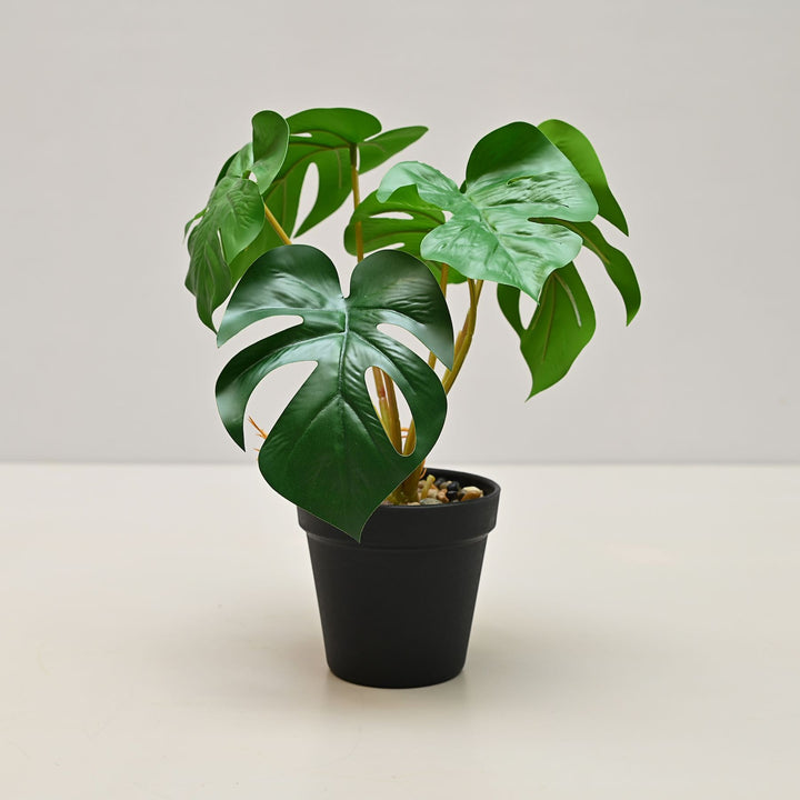 monstera artificial plant