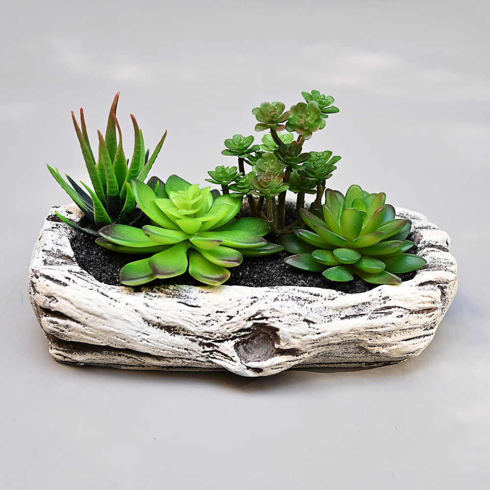 artificial succulent plant