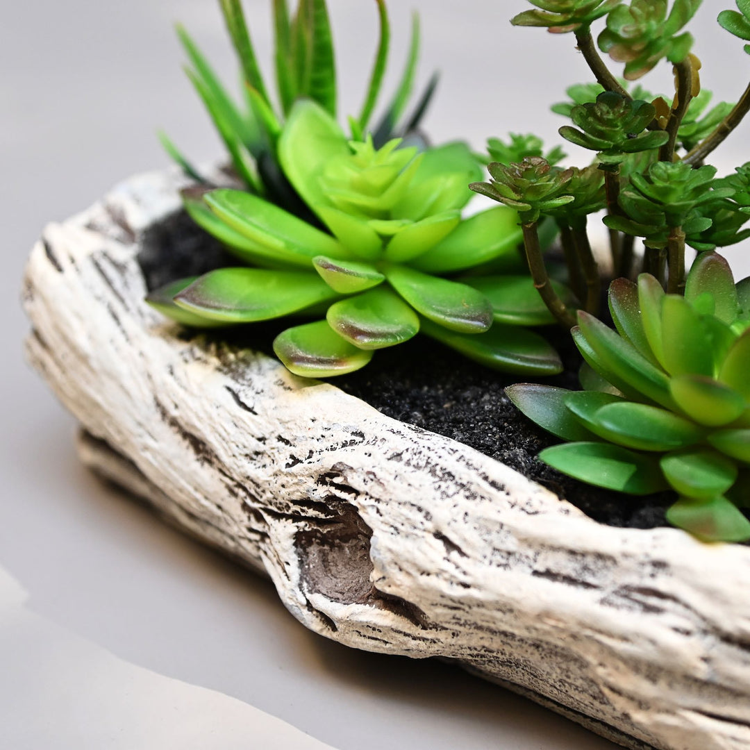 artificial succulent plant