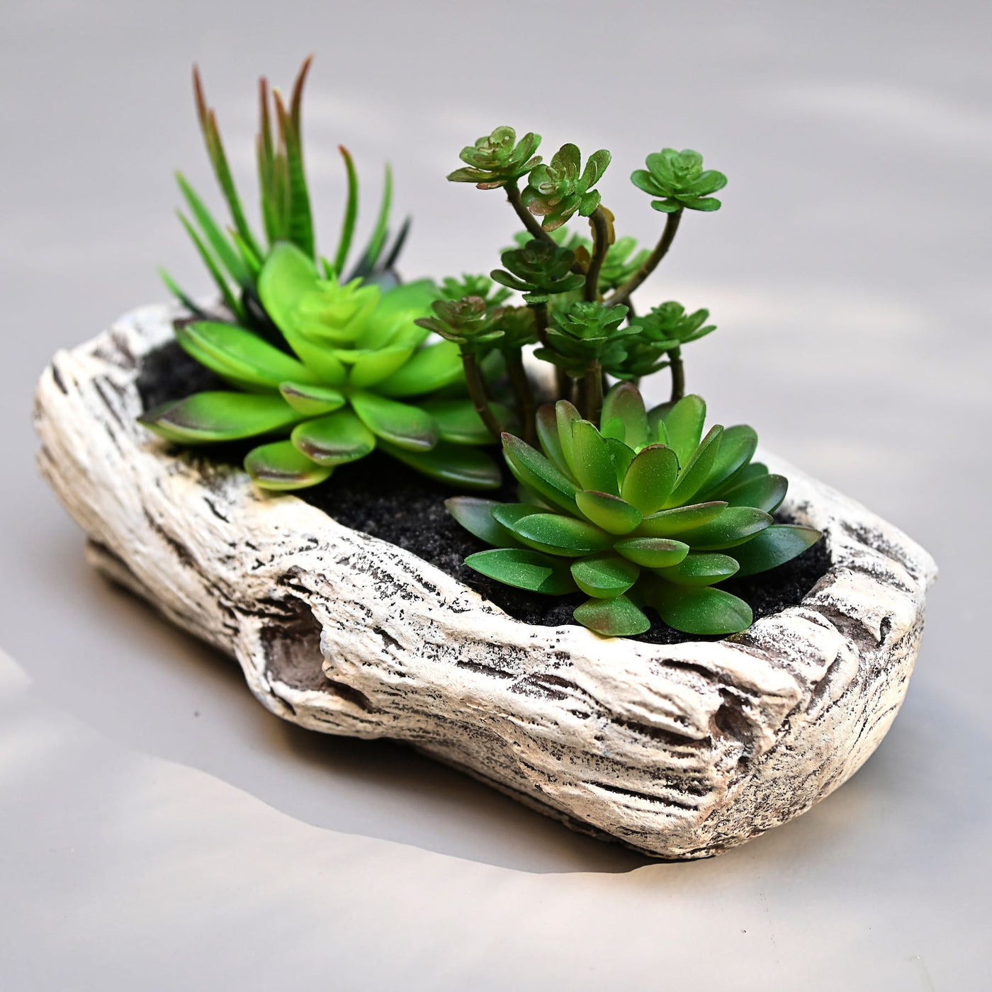 artificial succulent plant