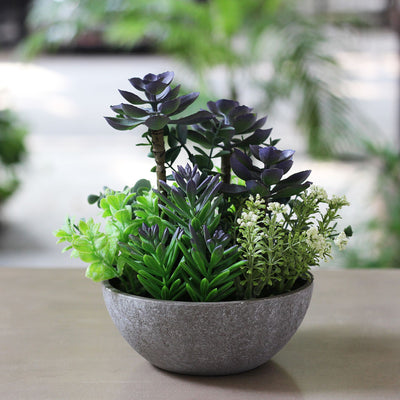 artificial succulent plant