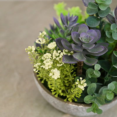 artificial succulent plant