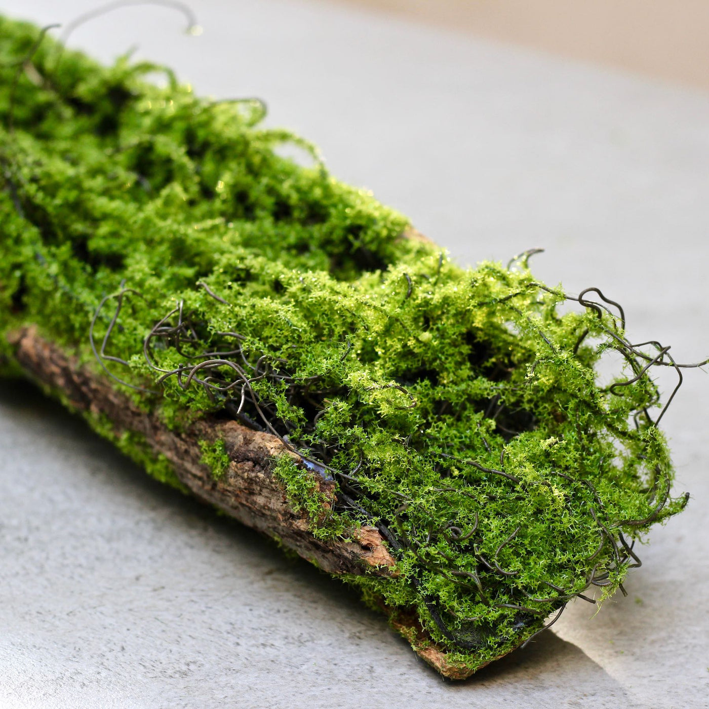 artificial moss branch