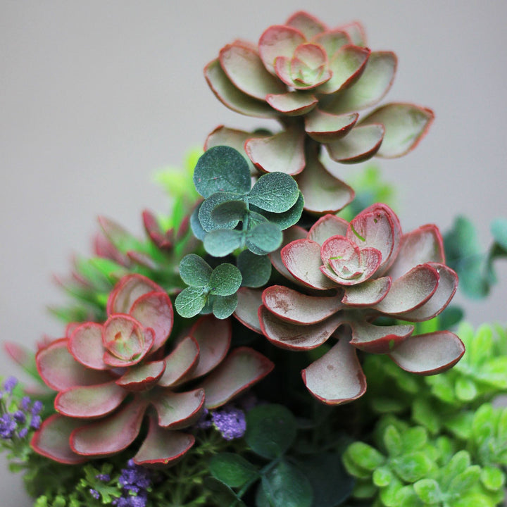 artificial succulent plant