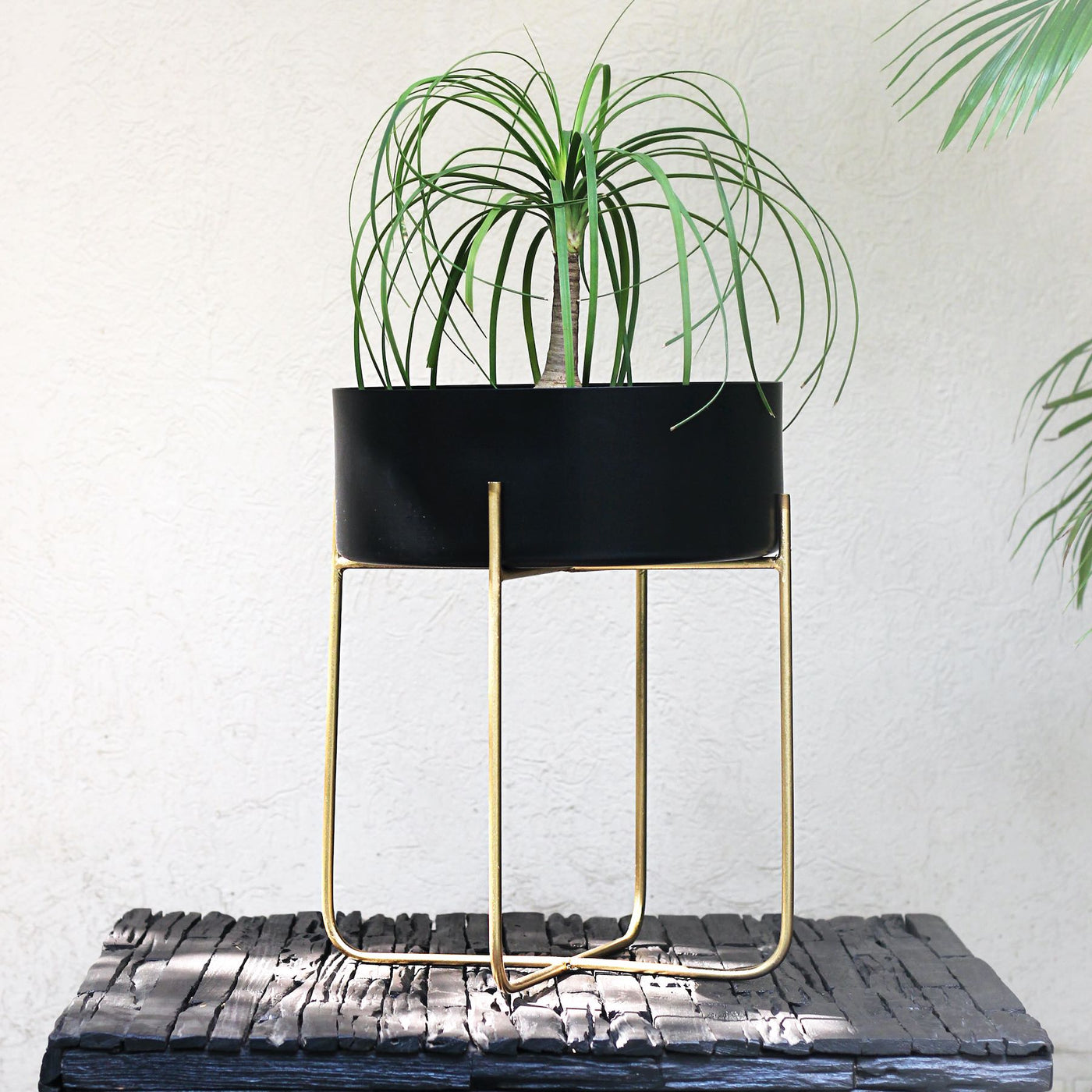 black metal planter with legs