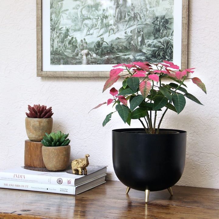 black metal planter