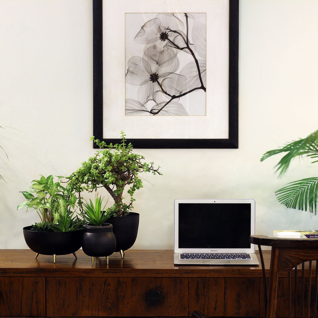 small black table top planter