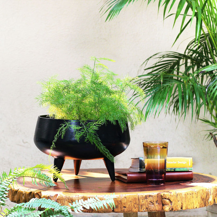 black tub metal planter with legs