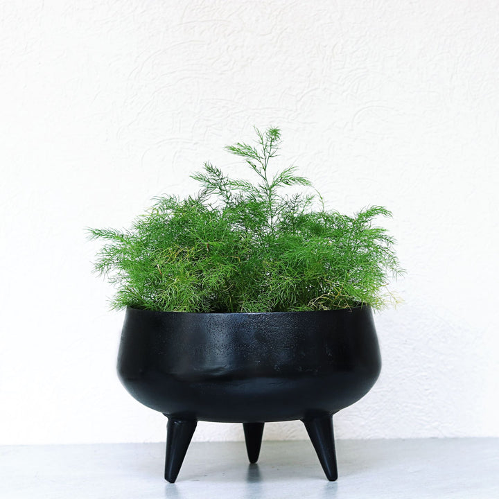 black tub metal planter with legs | merca_variant_31004516286560