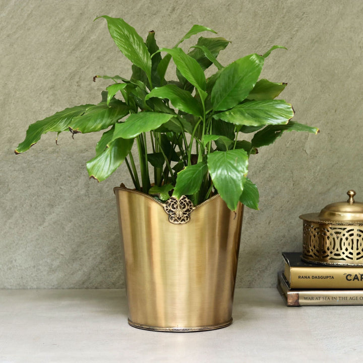 brass bin planter