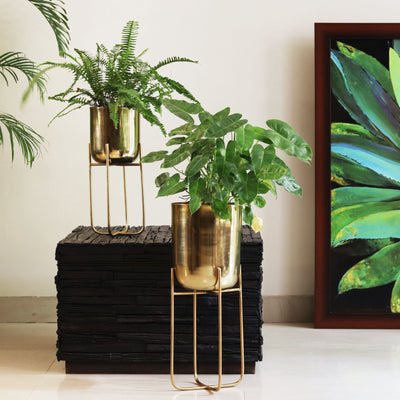 golden brass planters with legs