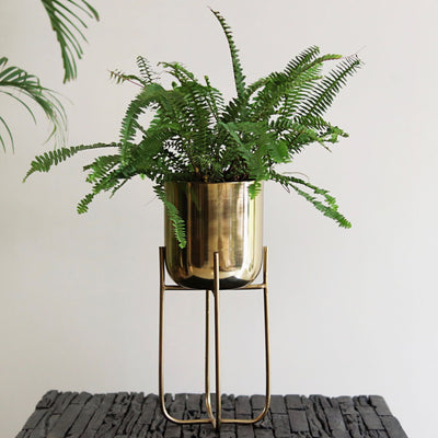 golden brass planter with legs