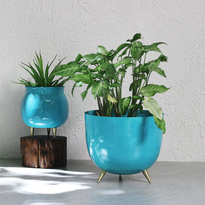 blue metal planter